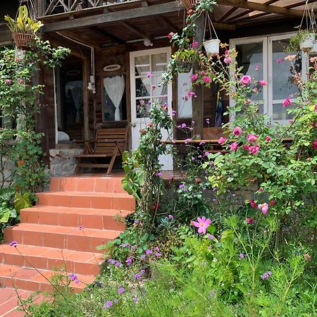 Romantic House On A Pine Hill Dalat エクステリア 写真