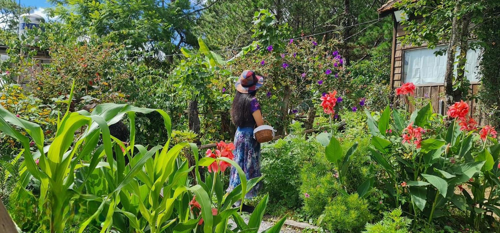 Romantic House On A Pine Hill Dalat エクステリア 写真