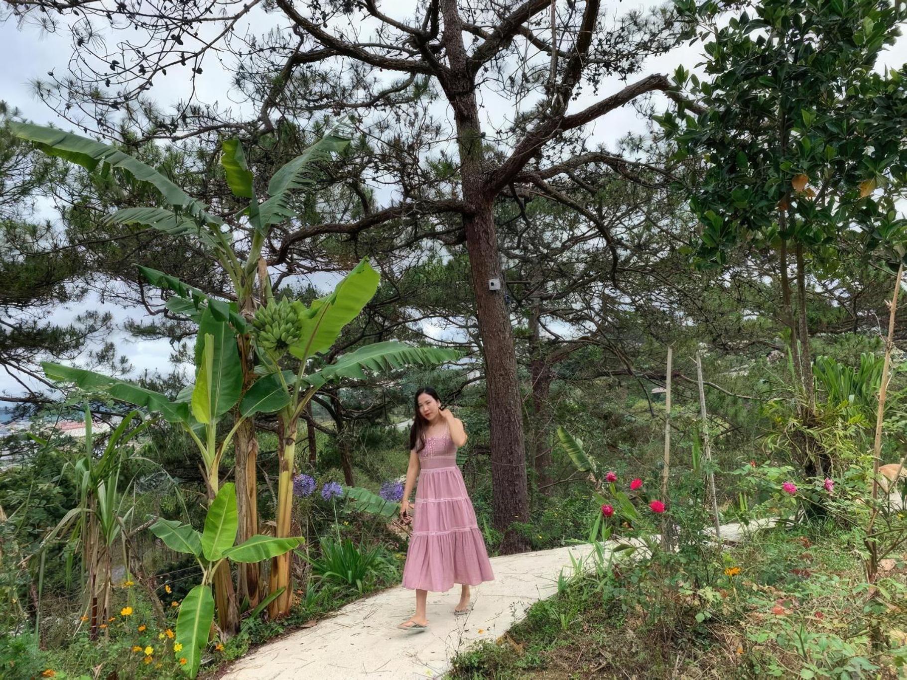 Romantic House On A Pine Hill Dalat エクステリア 写真