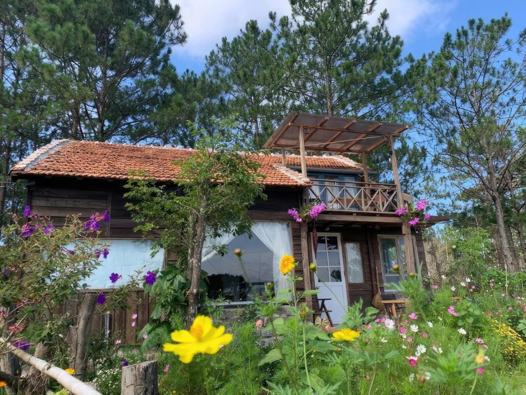 Romantic House On A Pine Hill Dalat エクステリア 写真