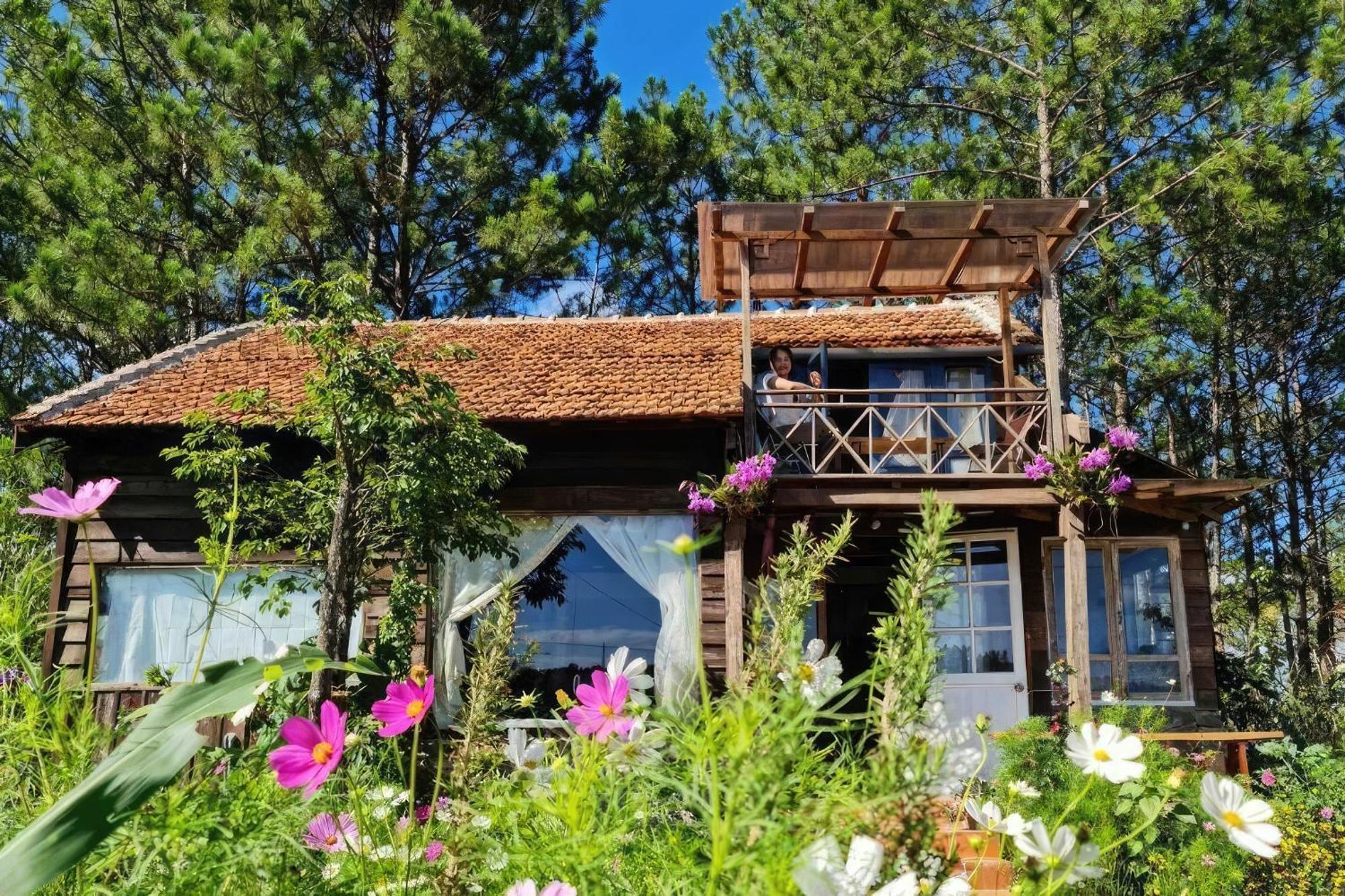 Romantic House On A Pine Hill Dalat エクステリア 写真