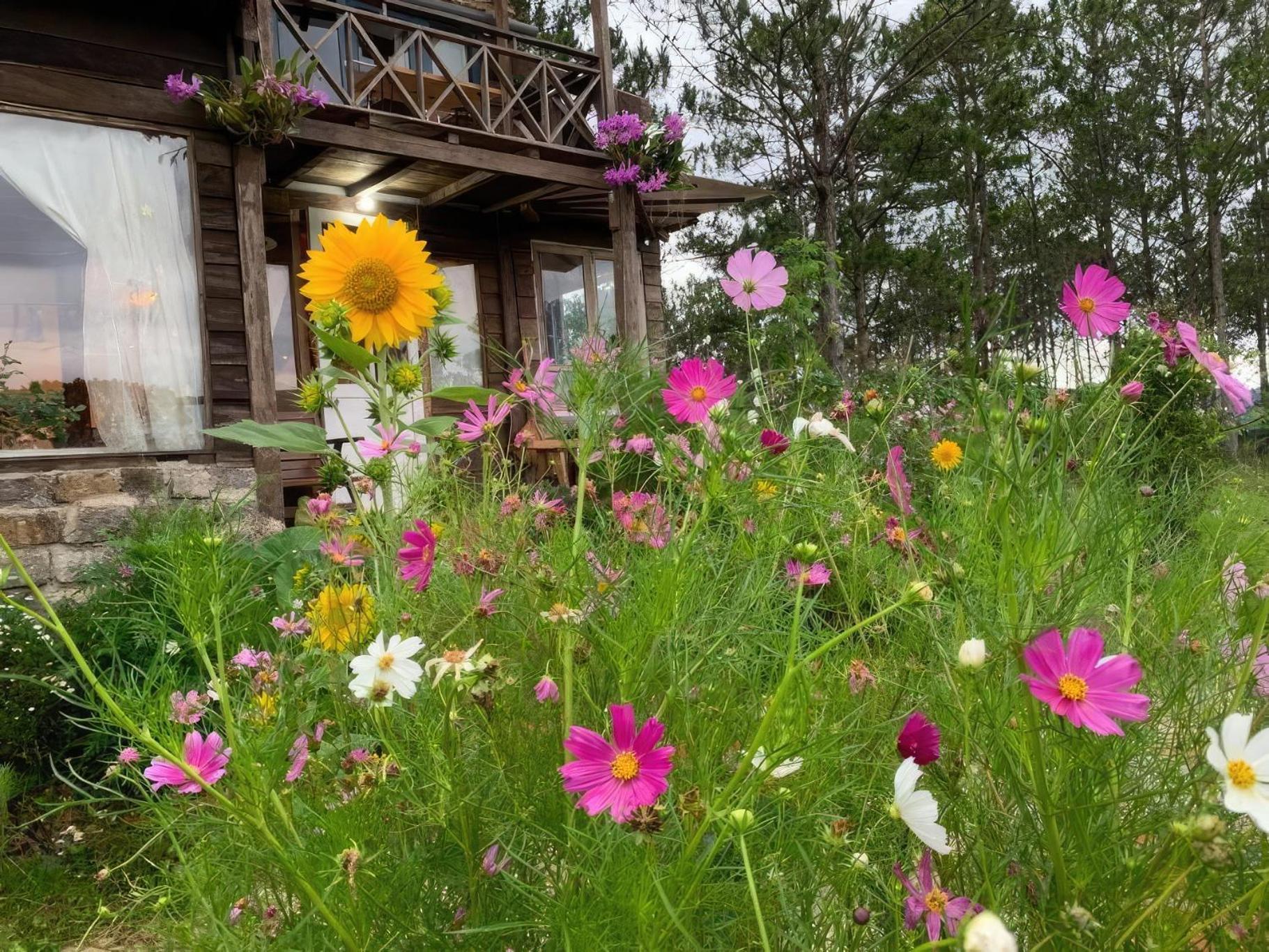 Romantic House On A Pine Hill Dalat エクステリア 写真
