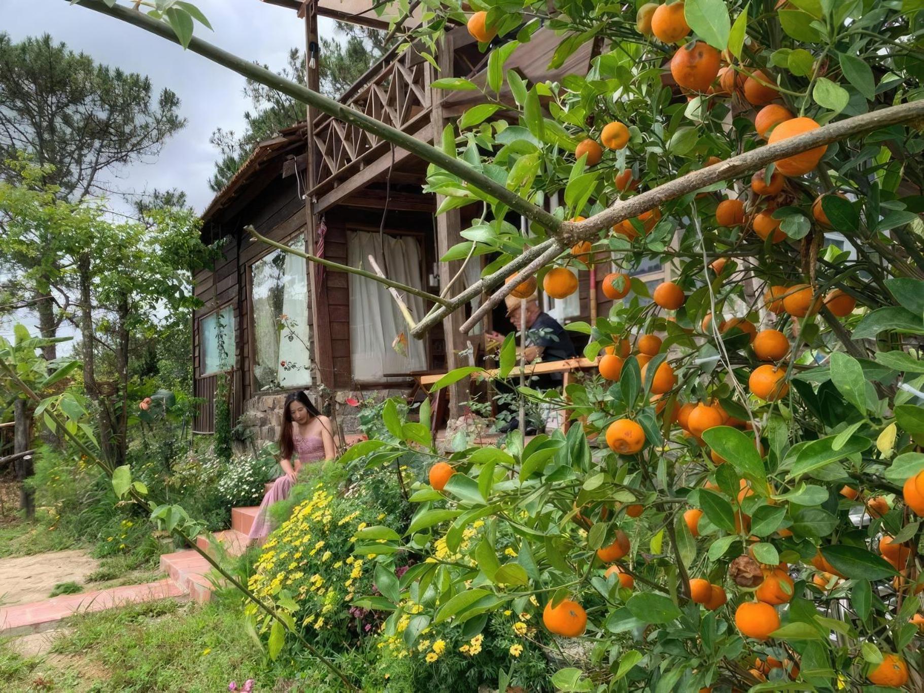 Romantic House On A Pine Hill Dalat エクステリア 写真