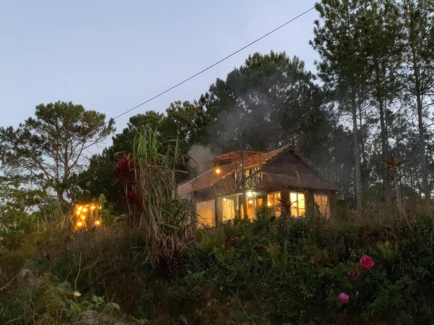 Romantic House On A Pine Hill Dalat エクステリア 写真