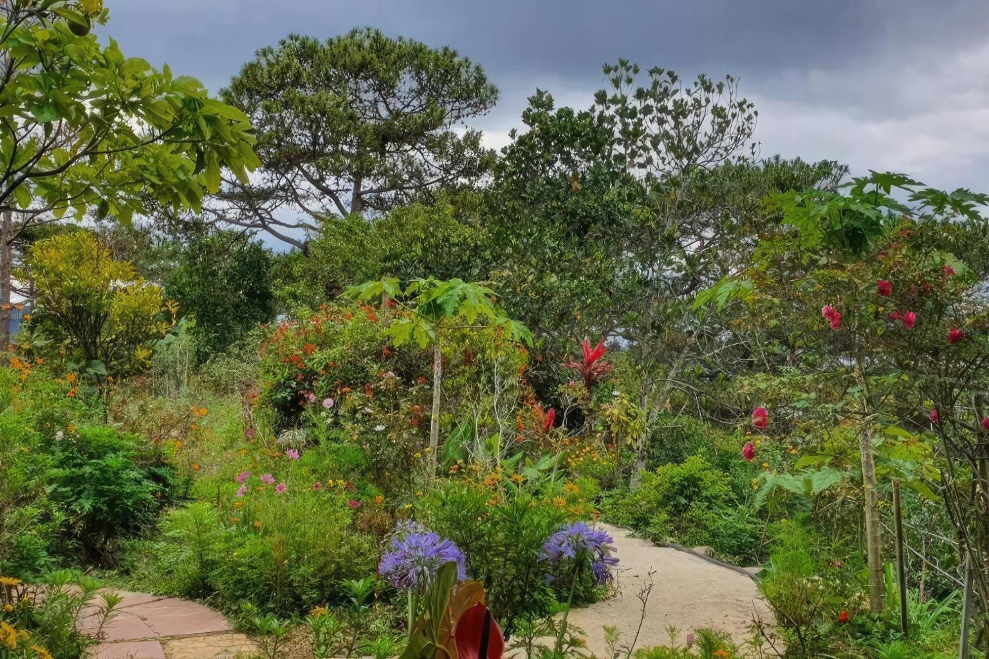 Romantic House On A Pine Hill Dalat エクステリア 写真