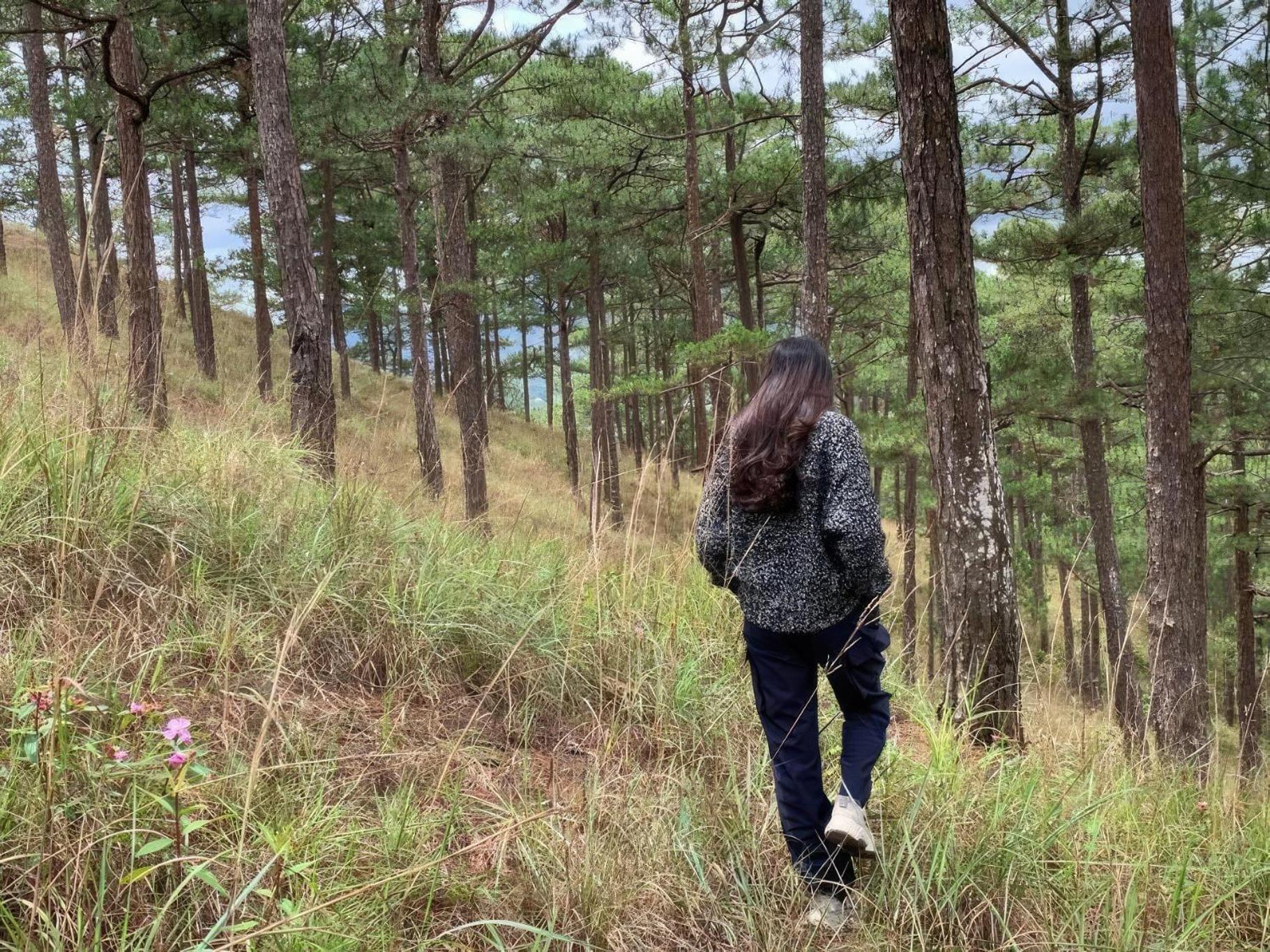 Romantic House On A Pine Hill Dalat エクステリア 写真