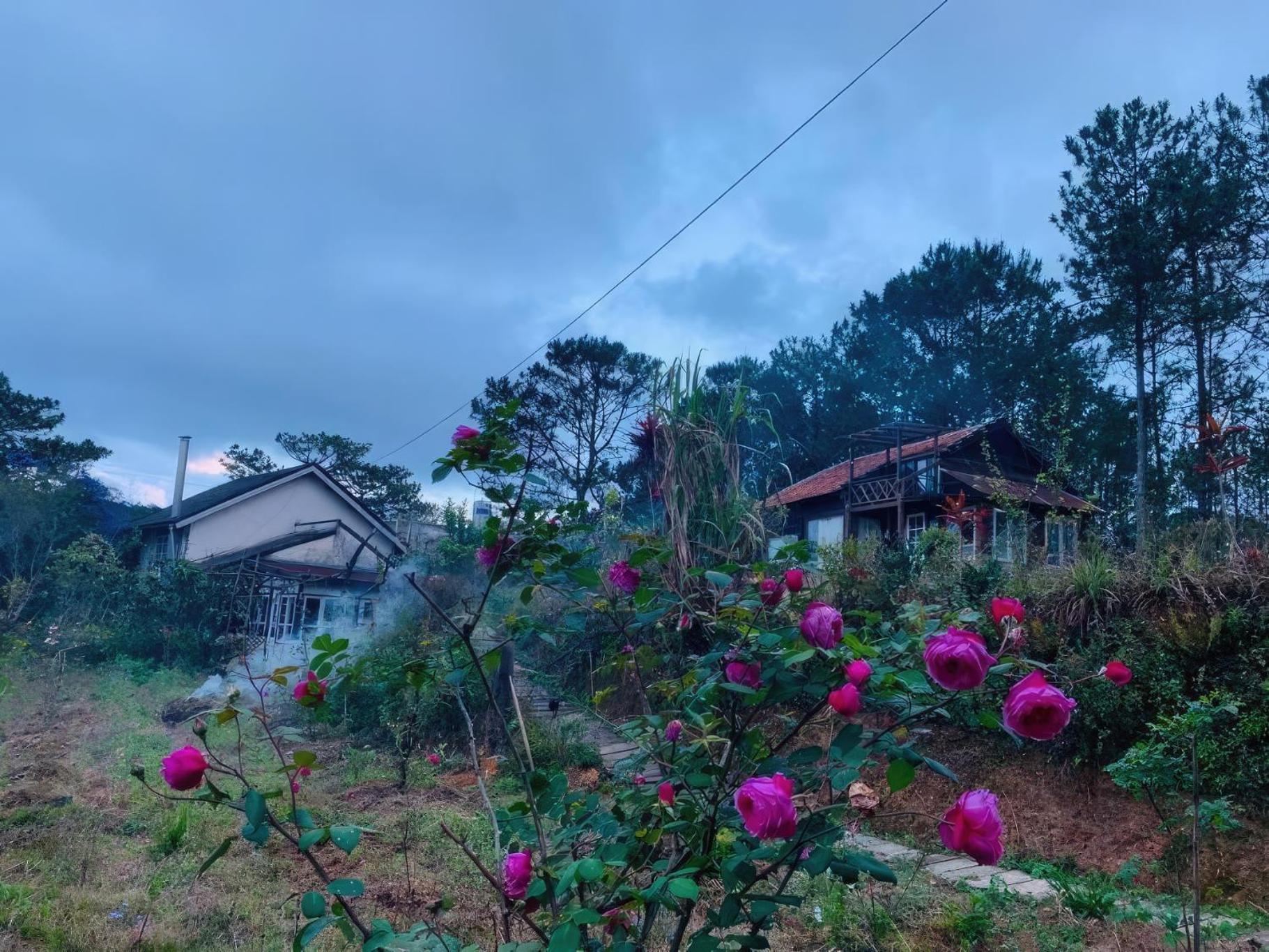 Romantic House On A Pine Hill Dalat エクステリア 写真
