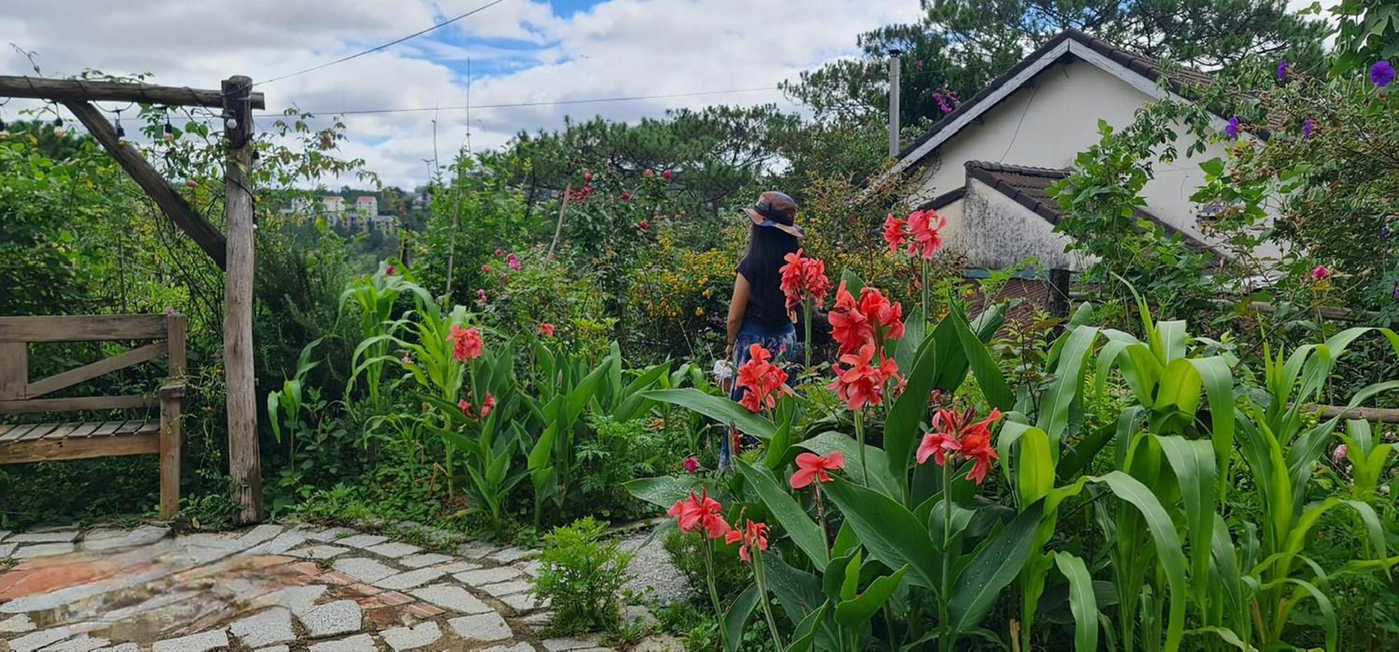 Romantic House On A Pine Hill Dalat エクステリア 写真