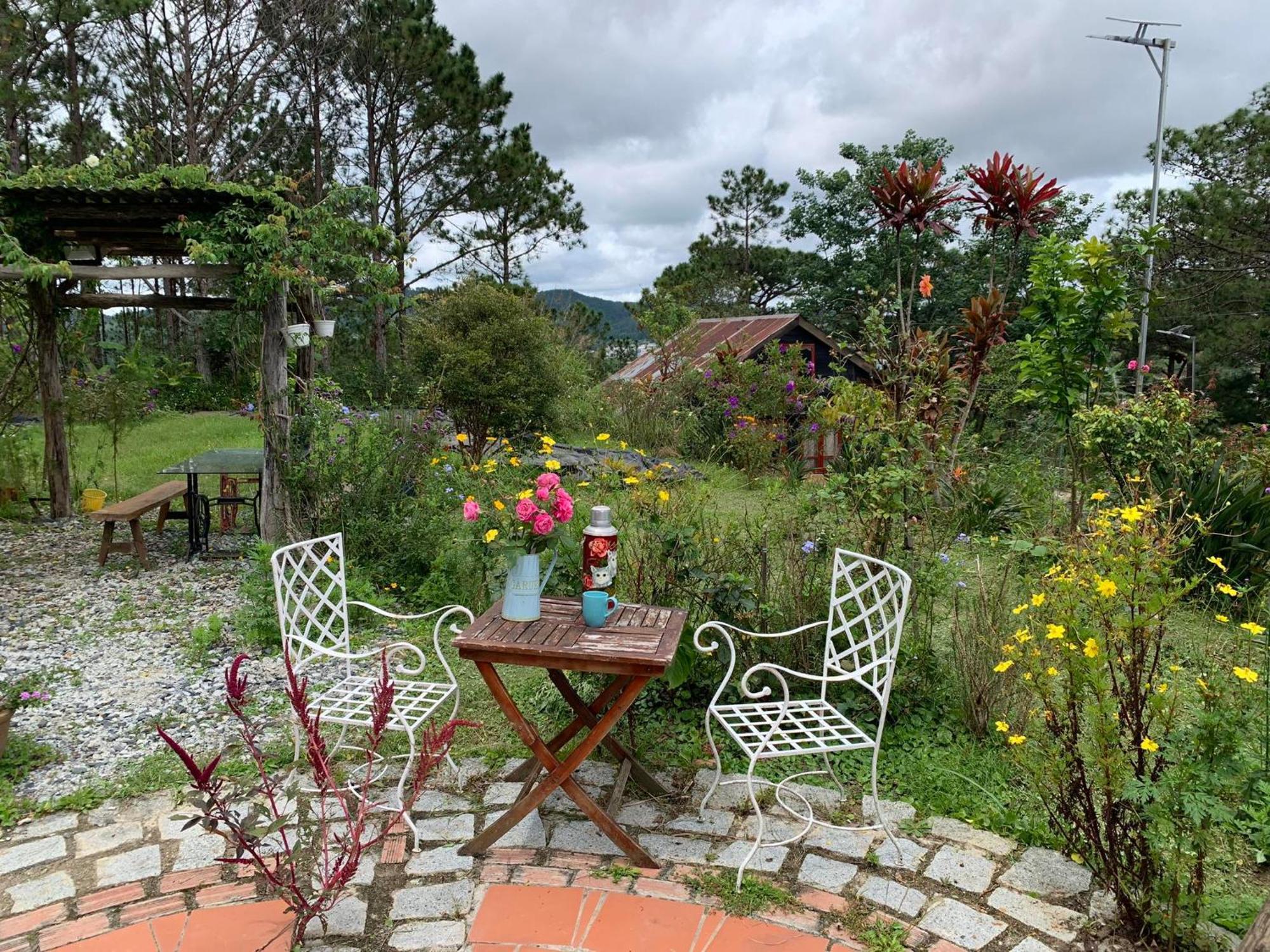 Romantic House On A Pine Hill Dalat エクステリア 写真