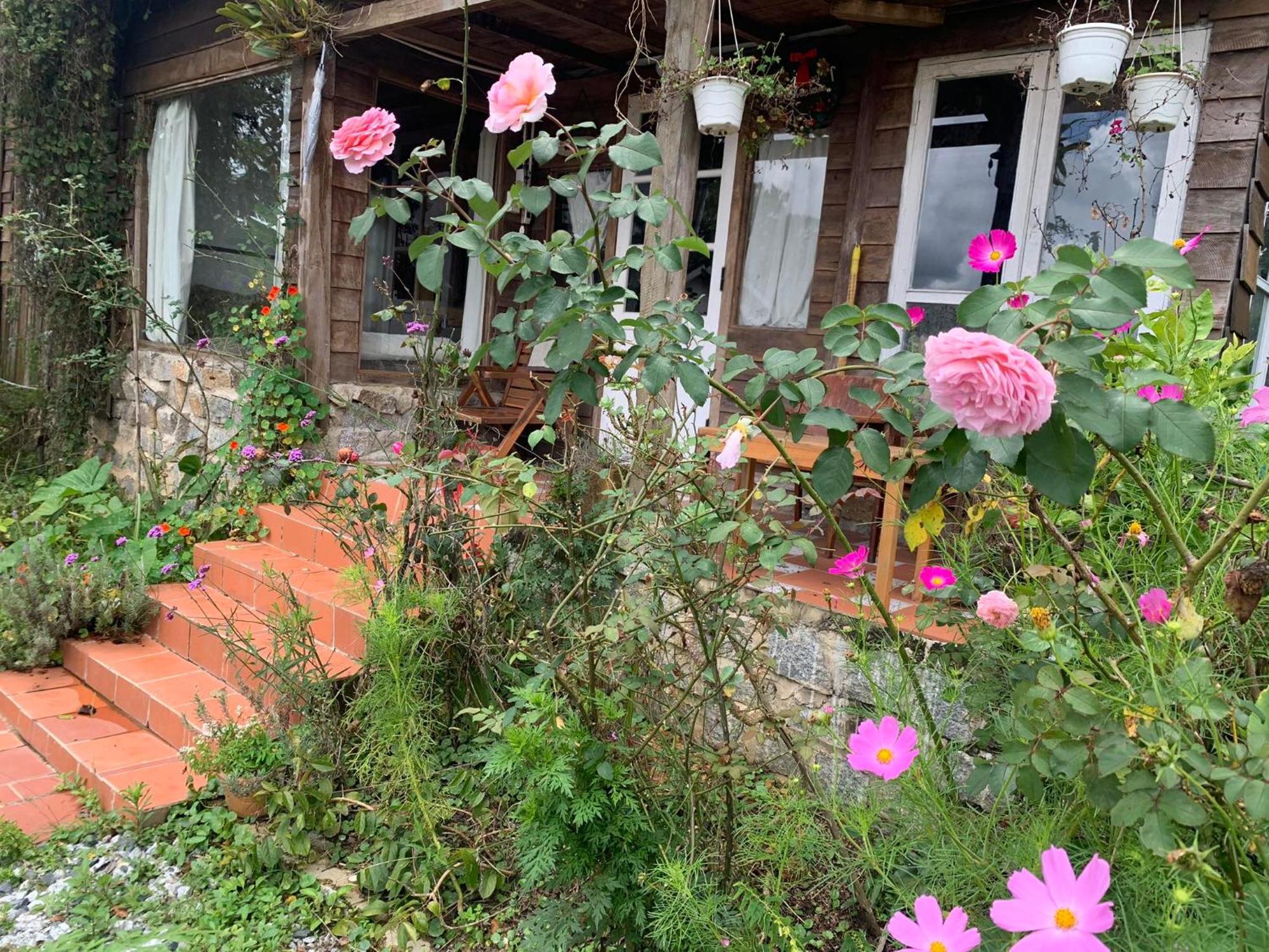 Romantic House On A Pine Hill Dalat エクステリア 写真