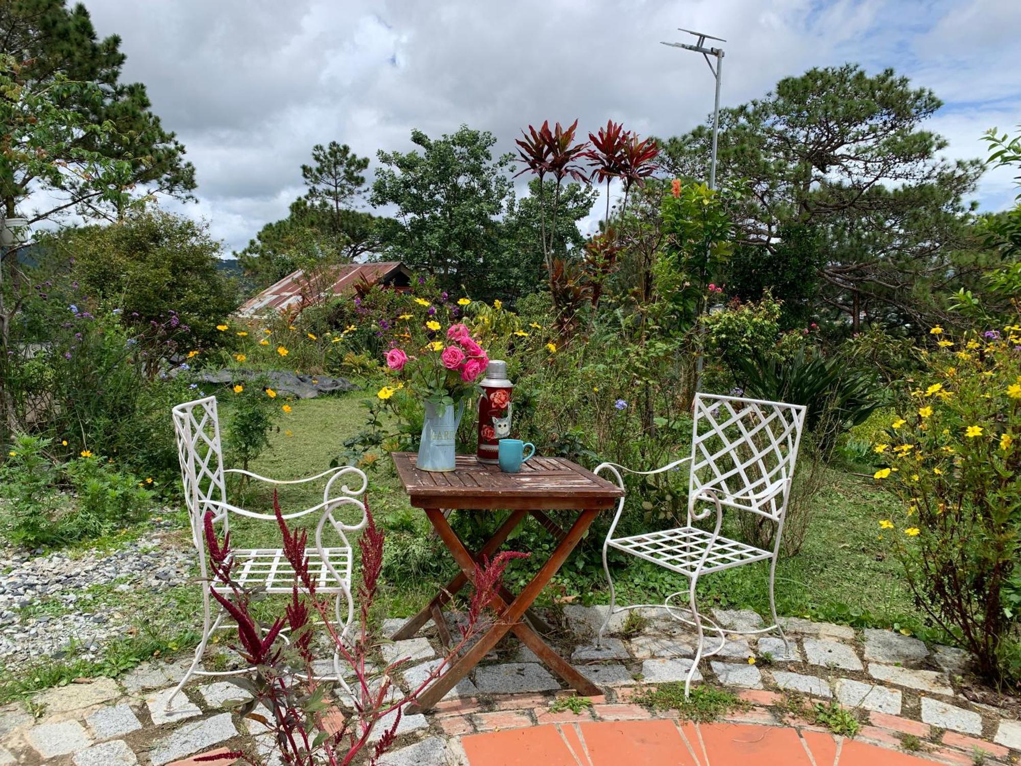 Romantic House On A Pine Hill Dalat エクステリア 写真