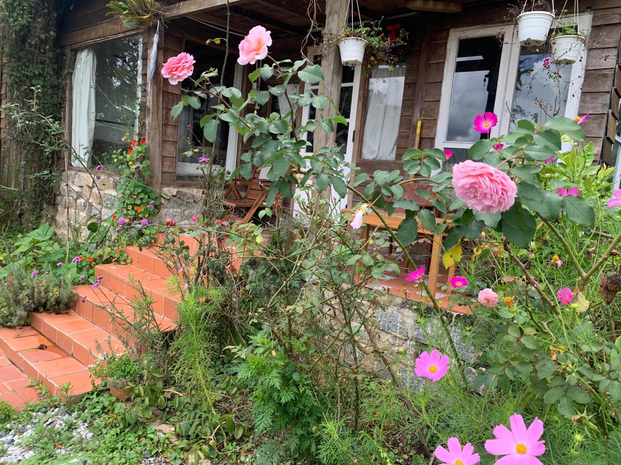 Romantic House On A Pine Hill Dalat エクステリア 写真