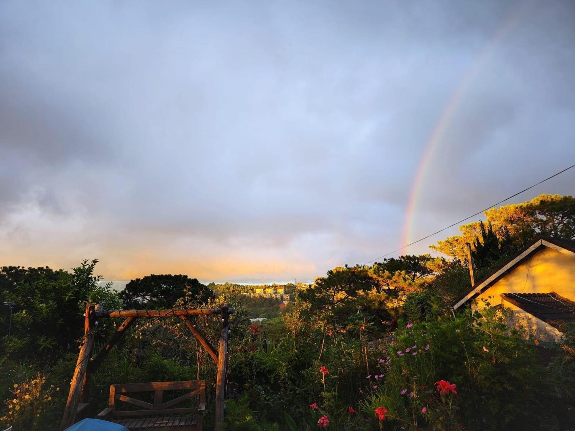 Romantic House On A Pine Hill Dalat エクステリア 写真
