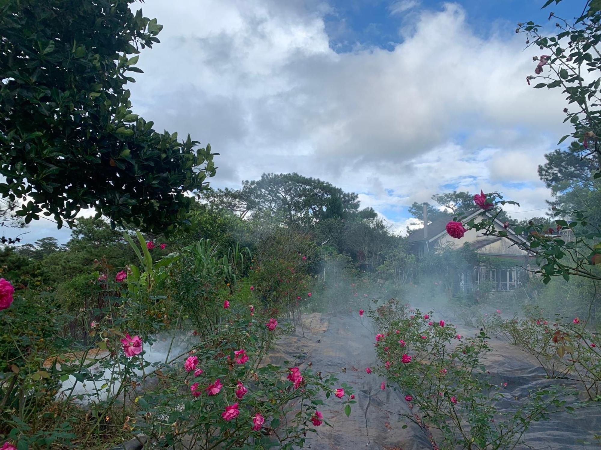 Romantic House On A Pine Hill Dalat エクステリア 写真