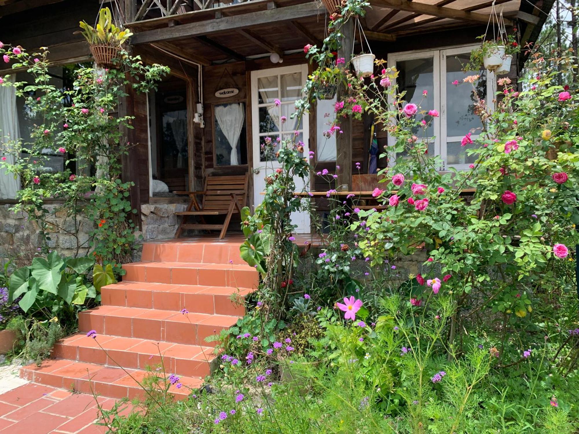 Romantic House On A Pine Hill Dalat エクステリア 写真