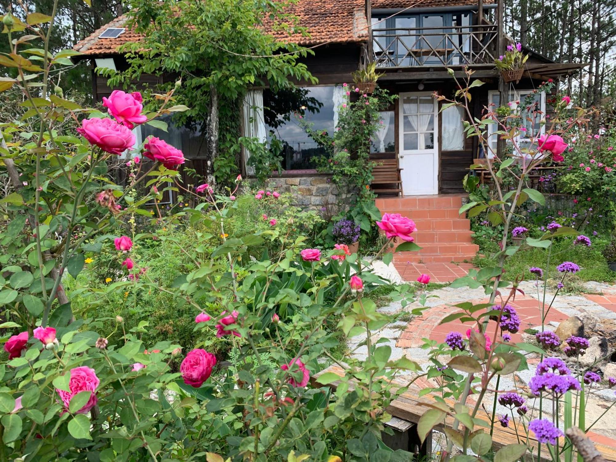Romantic House On A Pine Hill Dalat エクステリア 写真